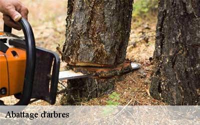 Abattage d'arbres