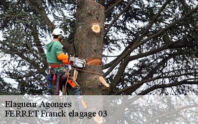 Elagueur  agonges-03210 FERRET Franck elagage 03