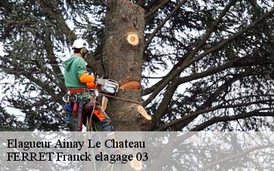 Elagueur  ainay-le-chateau-03360 FERRET Franck elagage 03