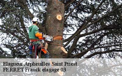 Elagueur arpheuilles-saint-priest-03420 FERRET Franck elagage 03