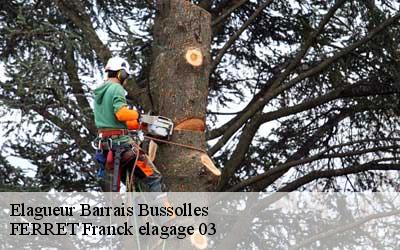 Elagueur  barrais-bussolles-03120 FERRET Franck elagage 03