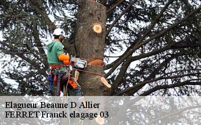 Elagueur  beaune-d-allier-03390 FERRET Franck elagage 03