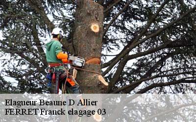 Elagueur beaune-d-allier-03390 FERRET Franck elagage 03