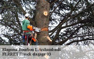 Elagueur  bourbon-l-archambault-03160 FERRET Franck elagage 03