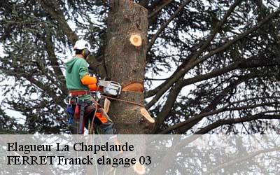 Elagueur  la-chapelaude-03380 FERRET Franck elagage 03