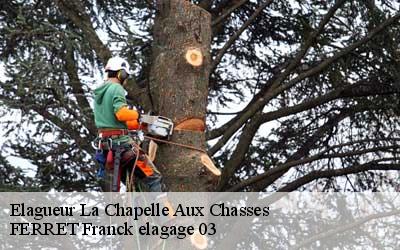 Elagueur la-chapelle-aux-chasses-03230 FERRET Franck elagage 03