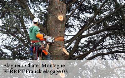 Elagueur  chatel-montagne-03250 FERRET Franck elagage 03