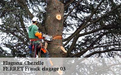 Elagueur  chezelle-03140 FERRET Franck elagage 03