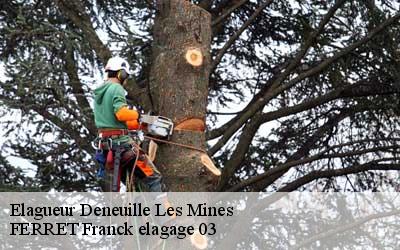Elagueur  deneuille-les-mines-03170 FERRET Franck elagage 03