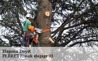 Elagueur  doyet-03170 FERRET Franck elagage 03