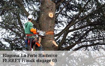 Elagueur  la-ferte-hauterive-03340 FERRET Franck elagage 03