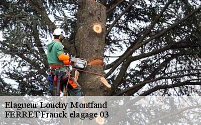 Elagueur  louchy-montfand-03500 FERRET Franck elagage 03