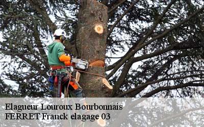 Elagueur  louroux-bourbonnais-03350 FERRET Franck elagage 03