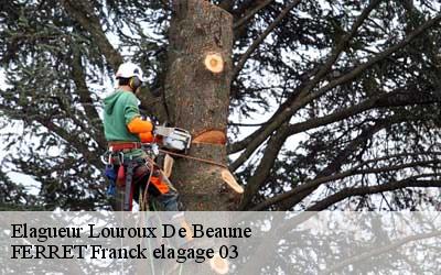 Elagueur  louroux-de-beaune-03600 FERRET Franck elagage 03