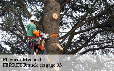 Elagueur  meillard-03500 FERRET Franck elagage 03