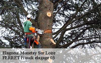 Elagueur  monetay-sur-loire-03470 FERRET Franck elagage 03