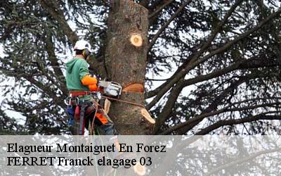 Elagueur montaiguet-en-forez-03130 FERRET Franck elagage 03