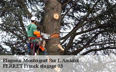 Elagueur  monteignet-sur-l-andelot-03800 FERRET Franck elagage 03