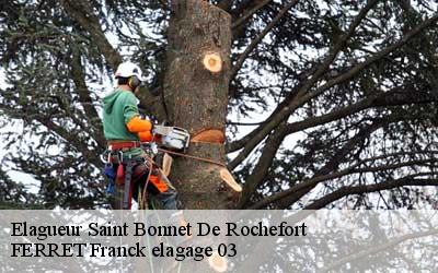 Elagueur  saint-bonnet-de-rochefort-03800 FERRET Franck elagage 03