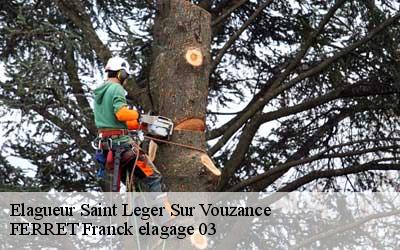 Elagueur  saint-leger-sur-vouzance-03130 FERRET Franck elagage 03
