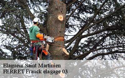 Elagueur  saint-martinien-03380 FERRET Franck elagage 03