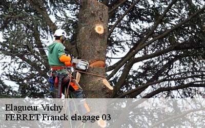 Elagueur  vichy-03200 FERRET Franck elagage 03