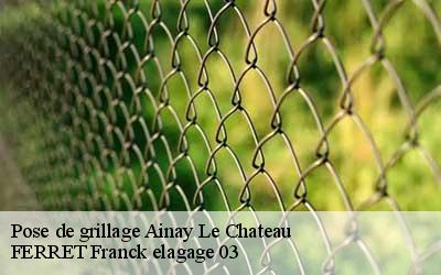 Pose de grillage  ainay-le-chateau-03360 FERRET Franck elagage 03
