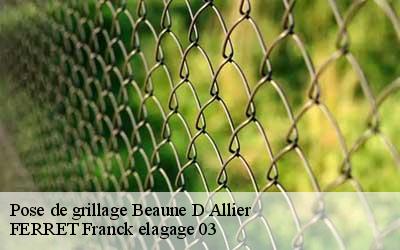 Pose de grillage  beaune-d-allier-03390 FERRET Franck elagage 03