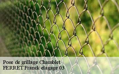 Pose de grillage  chamblet-03170 FERRET Franck elagage 03