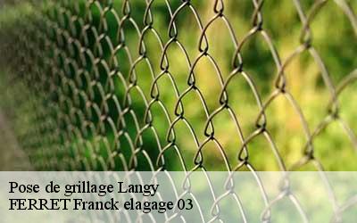 Pose de grillage  langy-03150 FERRET Franck elagage 03