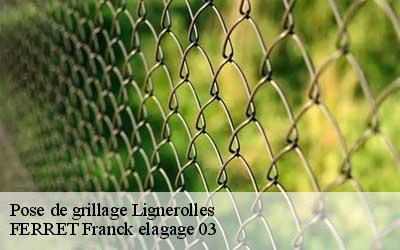 Pose de grillage lignerolles-03410 FERRET Franck elagage 03