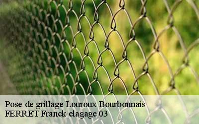 Pose de grillage  louroux-bourbonnais-03350 FERRET Franck elagage 03