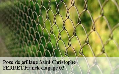 Pose de grillage  saint-christophe-03120 FERRET Franck elagage 03