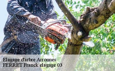 Elagage d'arbre  arronnes-03250 FERRET Franck elagage 03