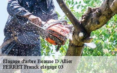 Elagage d'arbre beaune-d-allier-03390 FERRET Franck elagage 03