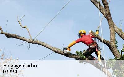 Elagage d'arbre 03390