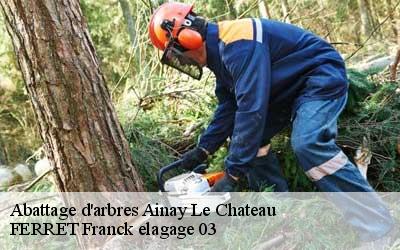 Abattage d'arbres  ainay-le-chateau-03360 FERRET Franck elagage 03