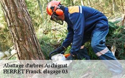 Abattage d'arbres  archignat-03380 FERRET Franck elagage 03