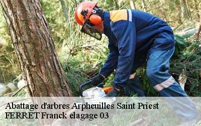 Abattage d'arbres  arpheuilles-saint-priest-03420 FERRET Franck elagage 03