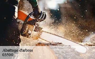 Abattage d'arbres 03500