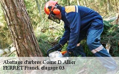 Abattage d'arbres  cosne-d-allier-03430 FERRET Franck elagage 03