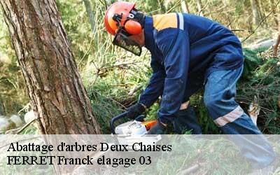 Abattage d'arbres  deux-chaises-03240 FERRET Franck elagage 03
