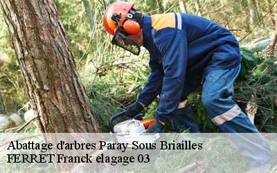 Abattage d'arbres  paray-sous-briailles-03500 FERRET Franck elagage 03