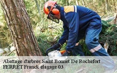 Abattage d'arbres  saint-bonnet-de-rochefort-03800 FERRET Franck elagage 03