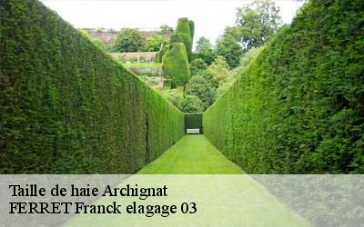Taille de haie  archignat-03380 FERRET Franck elagage 03