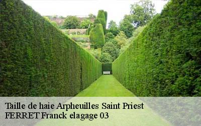 Taille de haie  arpheuilles-saint-priest-03420 FERRET Franck elagage 03