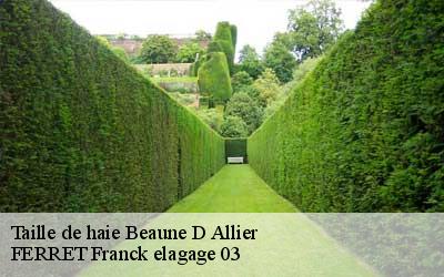 Taille de haie  beaune-d-allier-03390 FERRET Franck elagage 03