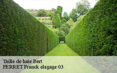 Taille de haie  bert-03130 FERRET Franck elagage 03