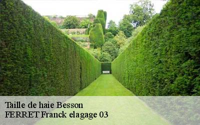 Taille de haie besson-03210 FERRET Franck elagage 03