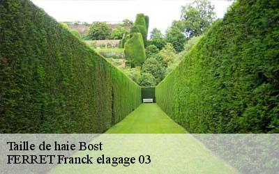 Taille de haie  bost-03300 FERRET Franck elagage 03